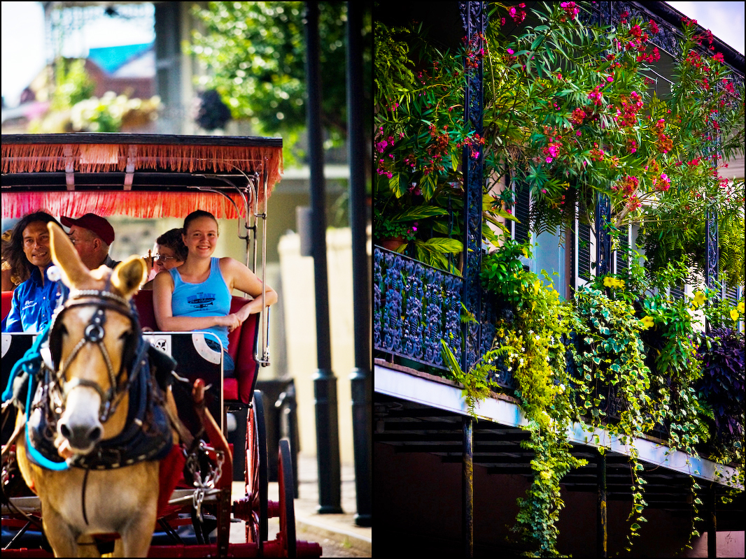 Carriage ride through the French Quarter; Balcony of flowers; New Orleans